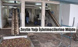 Zeytin Yağı İşletmecilerine Müjde