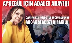 Ayşegül İçin Adalet Arayışı: ÇARPAN KİŞİ YÜZDE YÜZ SUÇLU BULUNDU ANCAK SERBEST BIRAKILDI