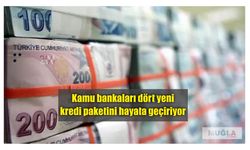 Kamu bankaları dört yeni kredi paketini hayata geçiriyor