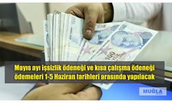 Mayıs ayı işsizlik ödeneği ve kısa çalışma ödeneği ödemeleri 1-5 Haziran tarihleri arasında yapılacak