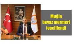 Muğla beyaz mermeri tescillendi