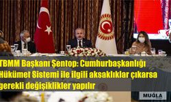 TBMM Başkanı Şentop: Cumhurbaşkanlığı Hükümet Sistemi ile ilgili aksaklıklar çıkarsa gerekli değişiklikler yapılır