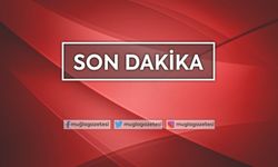 Hazine ve Maliye Bakanı Albayrak: Türkiye, Sanayi Üretimi Endeksi'ndeki artışla Avrupa sıralamasında ilk sırada yer aldı