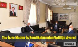 Tes-İş ve Maden-İş Sendikalarından Valiliğe ziyaret