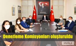 Denetleme Komisyonları oluşturuldu