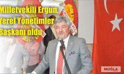 Milletvekili Ergun, Yerel Yönetimler Başkanı oldu