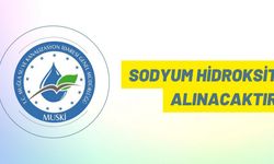 Sodyum hidroksit alınacaktır