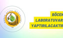 Böcek laboratuvarı yaptırılacaktır