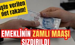 Emekli maaşına gelecek zam sızdı: İşte verilen net rakam