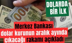 Tahmin değil resmi duyuru: Merkez Bankası aralık ayında doların kaç lira olacağını açıkladı