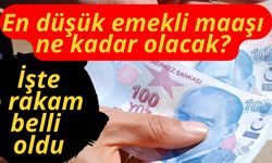 En düşük emekli maaşı ne kadar olacak? İşte o rakam belli oldu