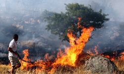 ARAZİ MAFYASI BODRUM'U YAKTI