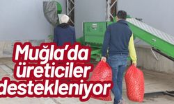 Muğla’da üreticiler destekleniyor