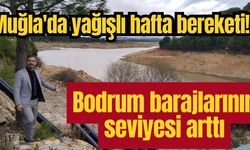 Muğla'da yağışlı hafta bereketi! Bodrum barajlarının seviyesi arttı