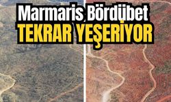 Marmaris Bördübet tekrar yeşeriyor