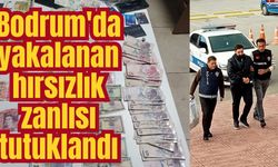 Bodrum'da yakalanan hırsızlık zanlısı tutuklandı