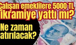 Çalışan emeklilere 5000 TL ikramiye yattı mı, ne zaman yatırılacak?