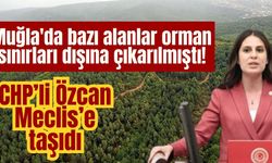 Muğla'da bazı alanlar orman sınırları dışına çıkarılmıştı! CHP’li Özcan Meclis’e taşıdı