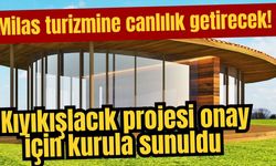 Milas turizmine canlılık getirecek! Kıyıkışlacık projesi onay için kurula sunuldu