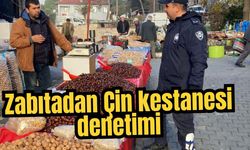 Zabıtadan Çin kestanesi denetimi