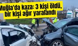 Muğla'da kaza: 3 kişi öldü, bir kişi ağır yaralandı