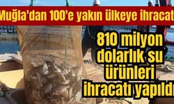 Muğla'dan 100'e yakın ülkeye ihracat: 810 milyon dolarlık su ürünleri ihracatı yapıldı