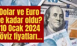 Dolar ve Euro ne kadar oldu? 10 Ocak 2024 döviz fiyatları