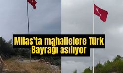 Milas'ta mahallelere Türk Bayrağı asılıyor