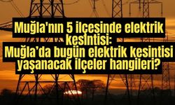 Muğla'nın 5 ilçesinde elektrik kesintisi: Muğla’da bugün elektrik kesintisi yaşanacak ilçeler hangileri?