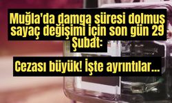 Muğla'da damga süresi dolmuş sayaç değişimi için son gün 29 Şubat: Cezası büyük! İşte ayrıntılar...