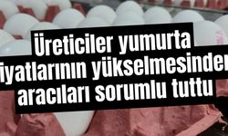 Üreticiler yumurta fiyatlarının yükselmesinden aracıları sorumlu tuttu