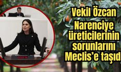 Vekil Özcan Narenciye üreticilerinin sorunlarını Meclis’e taşıdı