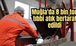 Muğla'da 8 bin ton tıbbi atık bertaraf edildi