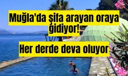 Muğla'da şifa arayan oraya gidiyor! Her derde deva oluyor