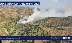 AYDIN'DA ORMAN YANGINI BAŞLADI