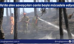 Ula'da alev savaşçıları canla başla mücadele ediyor