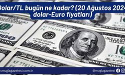 Dolar/TL bugün ne kadar? (20 Ağustos 2024 dolar-Euro fiyatları)