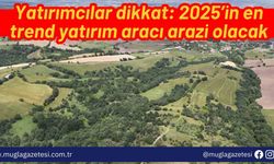 Yatırımcılar dikkat: 2025’in en trend yatırım aracı arazi olacak