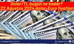 Dolar/TL bugün ne kadar? (22 Ağustos 2024 dolar-Euro fiyatları)