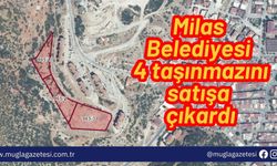 Milas Belediyesi 4 taşınmazını satışa çıkardı