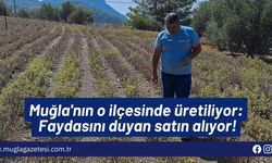 Muğla'nın o ilçesinde üretiliyor: Faydasını duyan satın alıyor!