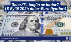 Dolar/TL bugün ne kadar? (11 Eylül 2024 dolar-Euro fiyatları)