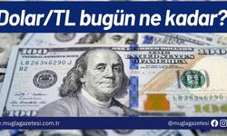 Dolar/TL bugün ne kadar? (23 Eylül 2024 dolar-Euro fiyatları)