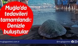 Muğla'da tedavileri tamamlandı: Denizle buluştular