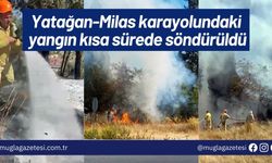 Yatağan-Milas karayolundaki yangın kısa sürede söndürüldü