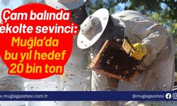 Çam balında rekolte sevinci: Muğla'da bu yıl hedef 20 bin ton...