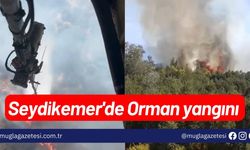 Seydikemer'de Orman yangını