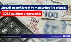 Emekli, asgari ücretli ve memur kaç lira alacak! 2025 aylıkları ortaya çıktı