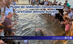 Muğla’da tedavileri tamamlanan Carettalar denizle buluştu