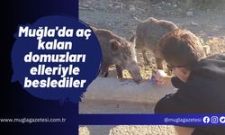 Muğla'da aç kalan domuzları elleriyle beslediler